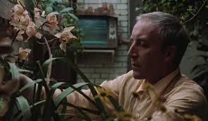 Film Intuition: Review Database: Blu-ray Review: Being There (1979)