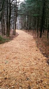 Natural Path Using Light Colored Wood Chip Mulch From Helmsburg Sawmill Inc Landscape Design Hillside Landscaping Mailbox Landscaping