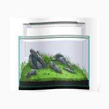 There was a problem fetching the translation. Aquascape Posters Redbubble
