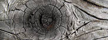 Image result for plank in eye