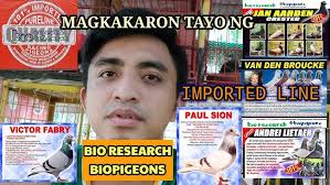 Salasibar Brothers Loft Tv