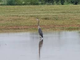 Candace Dunson Photography