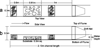 Diagrams of (a) plan and (b) side views of the artificial flow channel...