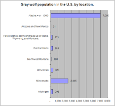 Wolf Population Of New England