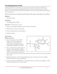 Dna Structure Worksheet Identifying Nucleotides By Digital World Biology Dna base pairing worksheet answer key form.