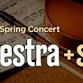 Youth Strings - Spring Concert
