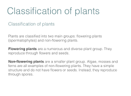 The spores are responsible for reproduction. Plants Screen 4 On Flowvella Presentation Software For Mac Ipad And Iphone