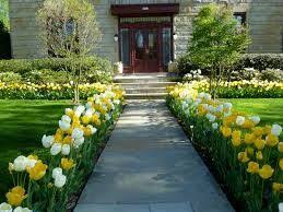 Tulip Front Yard Front Landscaping Front Yard Landscaping Front Garden