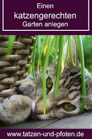 Katzenfreundlicher Garten 8 Wege Zu Einem Sicheren Katzen Garten In 2020 Katzen Katzen Ernahrung Katzengarten