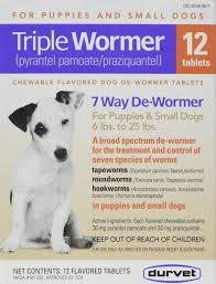 Puppy Worms Symptoms And How To Get Rid Of Worms In Puppies