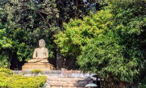 Wer seinen garten neu gestaltet, wie etwa am es gibt für die gärtnerische gestaltung ein paar grundlegende regeln, die jeder beachten sollte, wenn er. Bali Garten Selbst Gestalten Ruhe Und Balance Finden Stadtlandflair