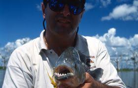 Sweetwater Travel Company