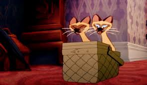 I'm a travelin' woman (and you're in my way). We Are Siamese If You Please Gif On Imgur