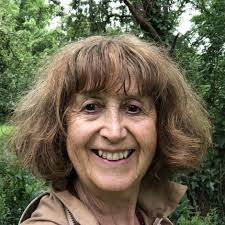 Somerset Beekeepers' Association NEWSLETTER