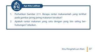 Kunci jawaban uji kompetensi ipa kelas 7 kurikulum 2013 kunci. Kunci Jawaban Buku Ipa Kelas 7 Semester 2 Hal 37 38 Solusi Tepat Cari Les Privat