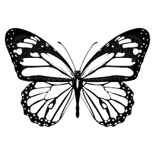Flat Color Modern Isometric Concept Illustration Mobile App De Modern Flat De Aff I Butterfly Black And White Butterfly Tattoo Designs Butterfly Tattoo
