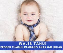 Pernahkah bunda merasa, tumbuh kembang anak begitu cepat? Tahap Tumbuh Kembang Bayi Usia 0 12 Bulan Yang Wajib Dipahami Deblog
