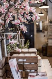 Velg blant mange lignende scener. Spring At Magnolia Magnolia