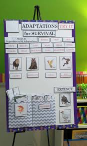 Active Anchor Chart Adaptations Treetopsecret Education