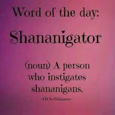 What is the meaning of shenanigans? Giggle Funny Quotes Words Cool Words