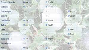 Use the vegetable planting calendar to grips with what to put into the ground each month. Planting Calendar When To Start Vegetable Seeds The Old Farmer S Almanac
