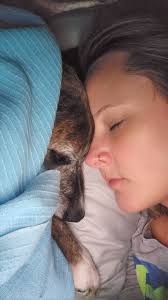 Support and Condolences for Loss of Beloved Pets