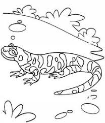 Maybe you would like to learn more about one of these? 10 Ide Gecko Coloring Pages