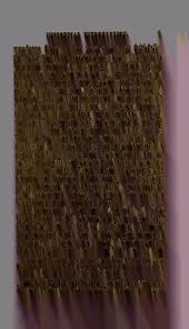 Image result for Oldfieldia macrocarpa