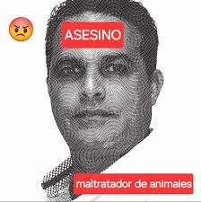 Perritos Callejeros en Cuba (grupo oficial)