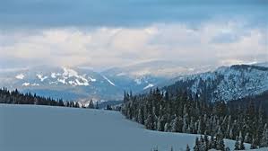 În zona staţiunii stâna de vale pot fi admirate 20 de cascade. Stana De Vale Crisana Informations And Image Galery Near By Hotels