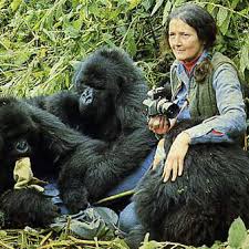 Gorillas in the Mist by Dian Fossey | Goodreads
