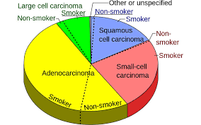 While smoking cigarettes is the biggest one study has shown your risk of developing lung cancer increases by around 33% if you live in an area with high levels of nitrogen oxide gases. Portrazza Necitumumab For The Treatment Of Metastatic Squamous Non Small Cell Lung Cancer Nsclc Clinical Trials Arena