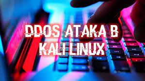 DDoS-атака сайта с Kali Linux: Как положить сервер за 2 минуты