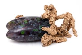 Bildergebnis für Denis Savary