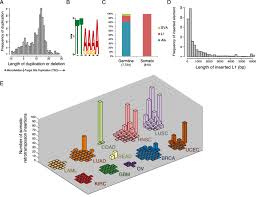 Nothing that takes a material. Landscape Of Retrotransposon Insertions Across Cancer Reveals A Download Scientific Diagram