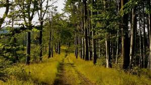 Börzsöny apartman has been welcoming booking.com guests since 27 apr 2017. Cycling In Borzsony Travel Guide Outdooractive Com