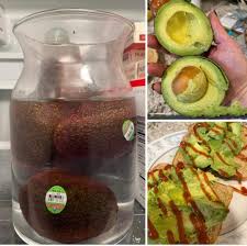 Image result for Dark Avocado 1983 Fedders