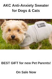 Sweater Helps Nervous Pets American Kennel Club Thunder Shirt For Dogs Dogs