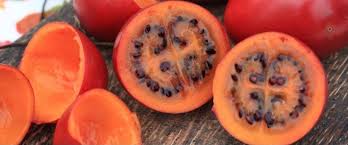Diversity of shapes and sizes of tree tomato. 13 Incredible Health Benefits Of Tamarillo Tree Tomato High Rated Gabru