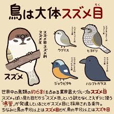 高橋のぞむ on twitter cute animal illustration pretty animals cute birds
