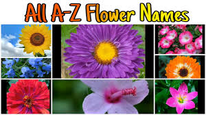 But give it only partial sun in the south (full sun in the north). 141 All A Z Flower Names Aster Balsam Dahlia Fuchsia Gerbera Jasmine Lily Tulip Youtube