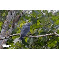 Fernando Rosado (@ospreytoursmexico) • Instagram photos and videos