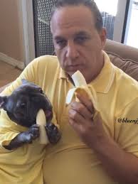 The way he holds the food in his paws... 😂🐶