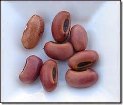 Place on the stovetop and bring to a boil, then reduce to a simmer. Cook Kidney Beans Safely