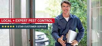 Yet getting rid of your pest issue is only a part of exactly what active bug command of long coastline do. Affordable Pest Control Long Beach Ca Southern California Exterminators