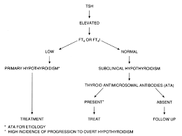 When i gave birth i had postpartum thyroiditis and went. Disorders Of The Thyroid Gland Glowm