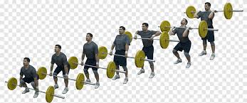 Maybe you would like to learn more about one of these? Clean And Jerk Png Images Pngegg