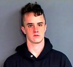 Court Sentences for Assaults, Arsons, & Robberies