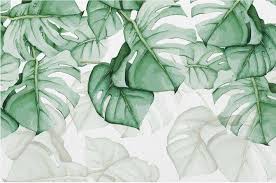 Фотообои Листья монстеры dec-885 купить в Украине | Интернет ...