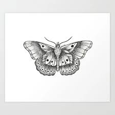 Black And White Harry Styles Butterfly Tattoo Harry Styles Butterfly Print In 2020 Harry Styles Butterfly Harry Styles Tattoos Butterfly Art Print